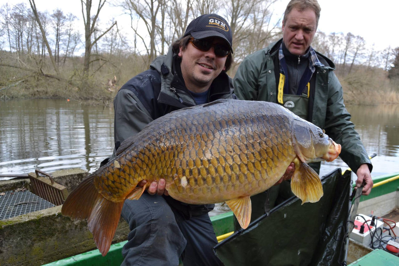 angelprofessor dr. robert arlinghaus – vortrag carp austria