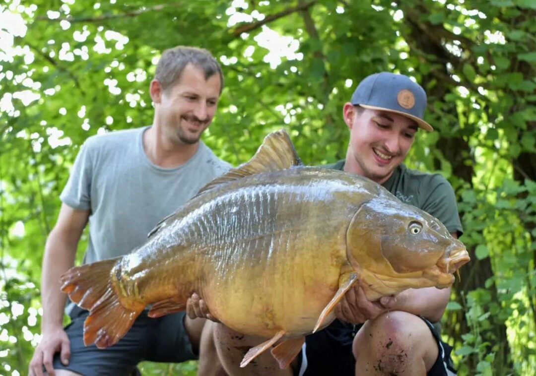 carps kitchen boilies kapitaler karpfen wielfried eibel