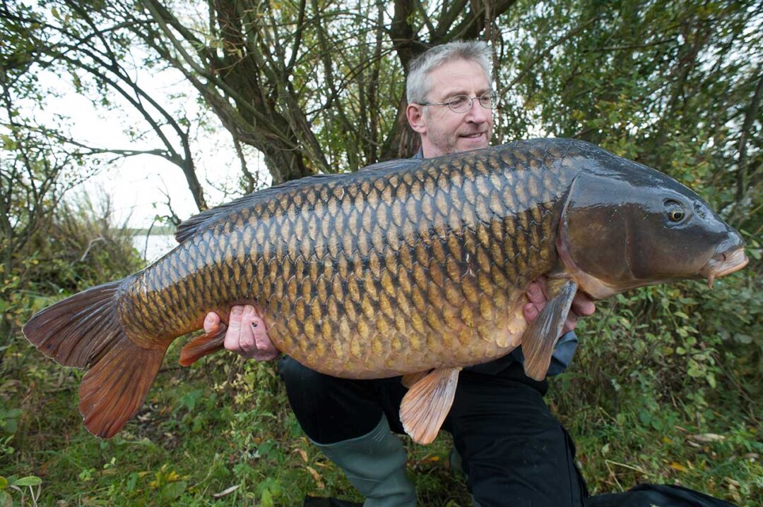 hub genders keen carp workshop vortrag carp austria karpfenamgeln schuppenkarpfen