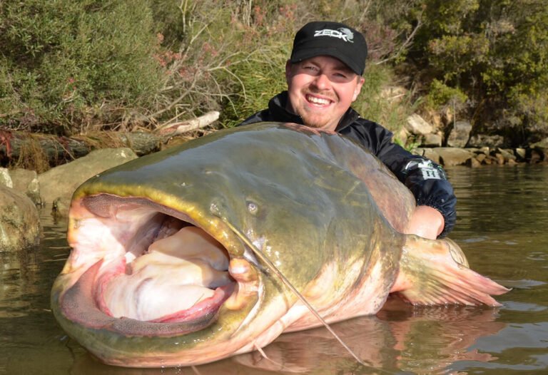 bild zeigt carsten zeck, eigentümer von zeck fishing wallertackle zum welsanglen