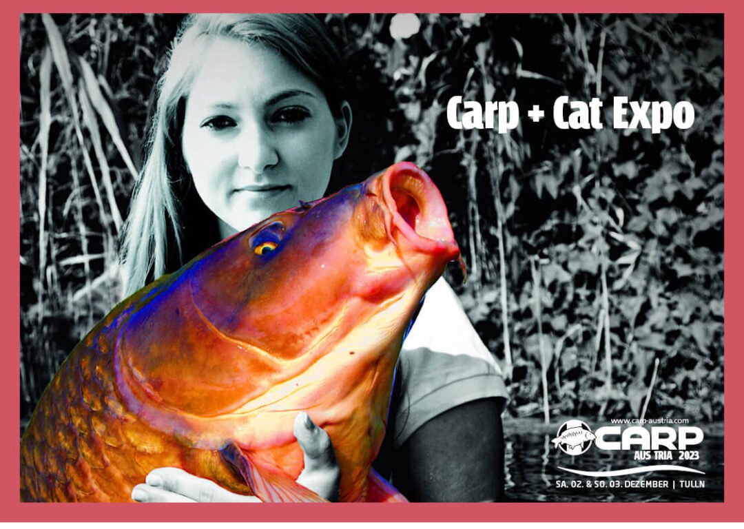 carp cat expo