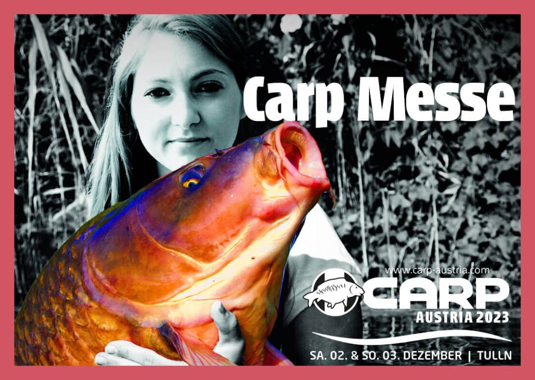 carp messe