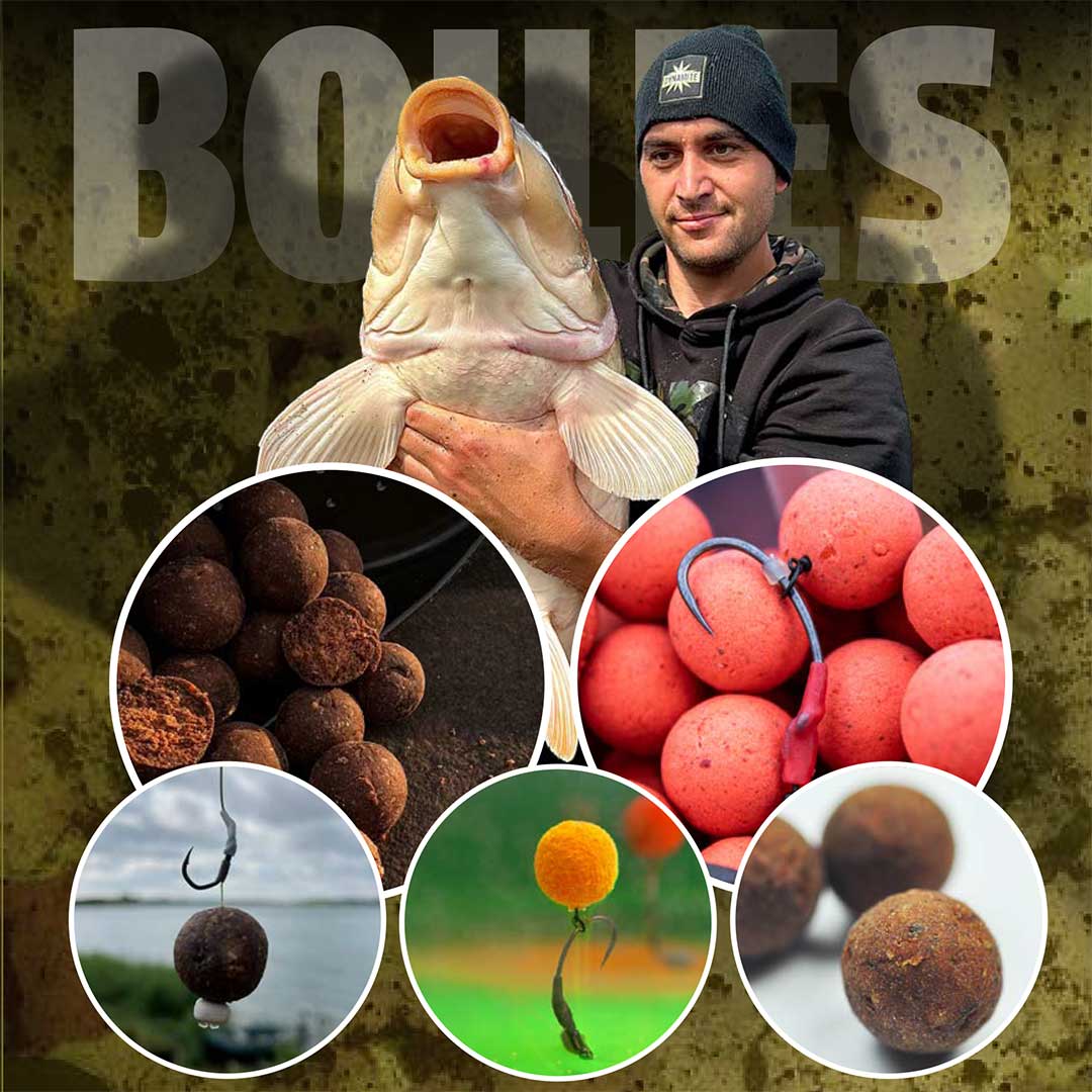 boilies kaufen