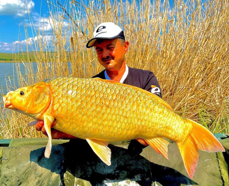 carp expert energofish