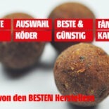 Boilies kaufen