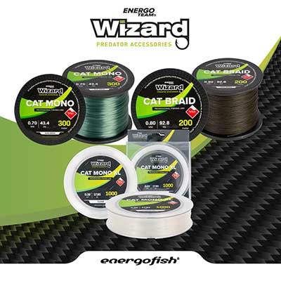 monofile wallerschnur wizard energofish