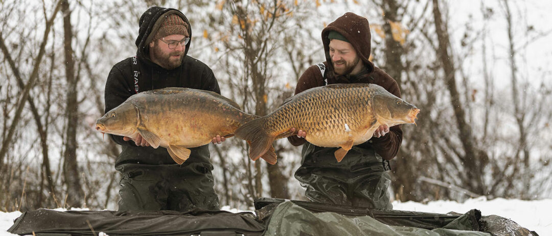 winterkoeder zum karpfenangeln