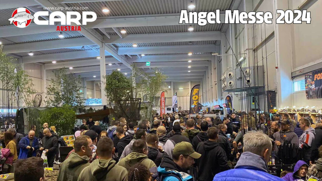 angel messe 2024