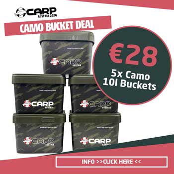 carp austria bucket deal