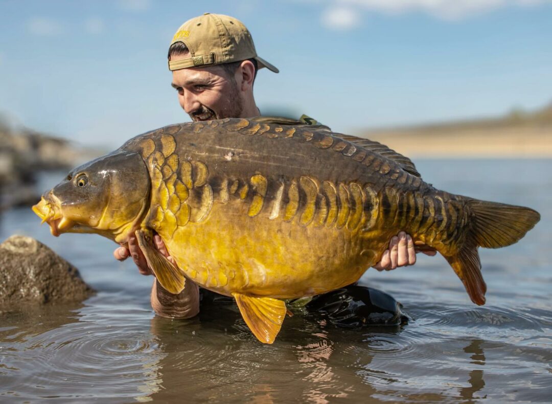 alex zille fishing