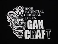 gan craft