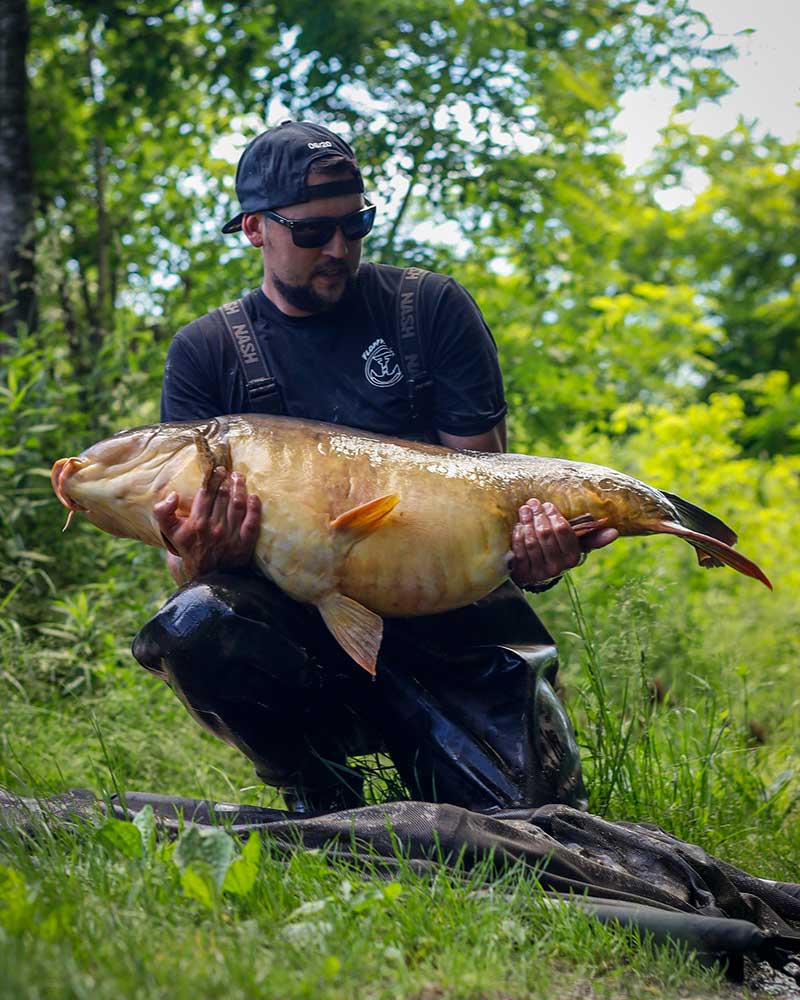 Carp fishing in Austria with rods, rod pod, bite alarms and carp fishing setup by the water