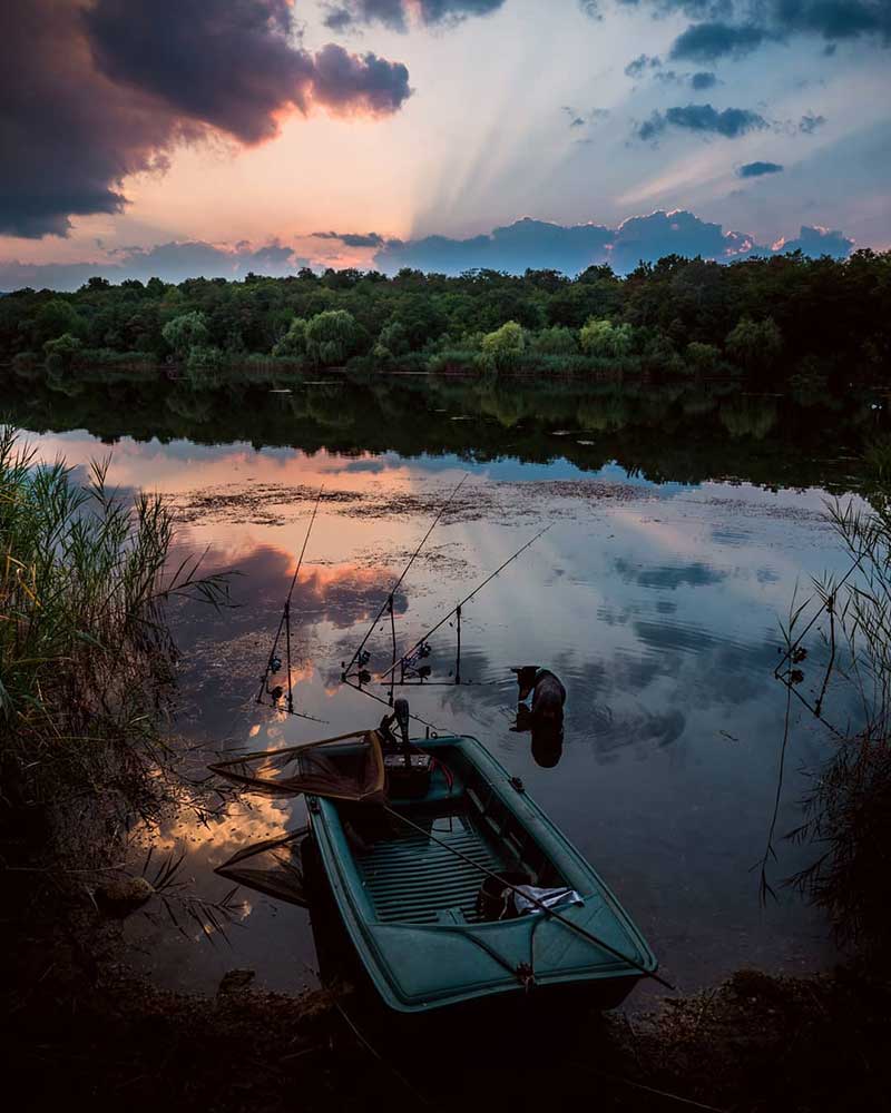 Angeln in Österreich am See im Morgengrauen mit Karpfenangeln und Naturstimmung