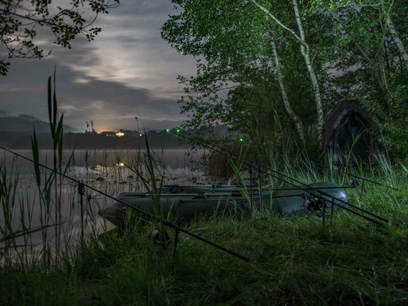 Carp Fishing in Austria at a lakeside sunrise with atmospheric natural scenery