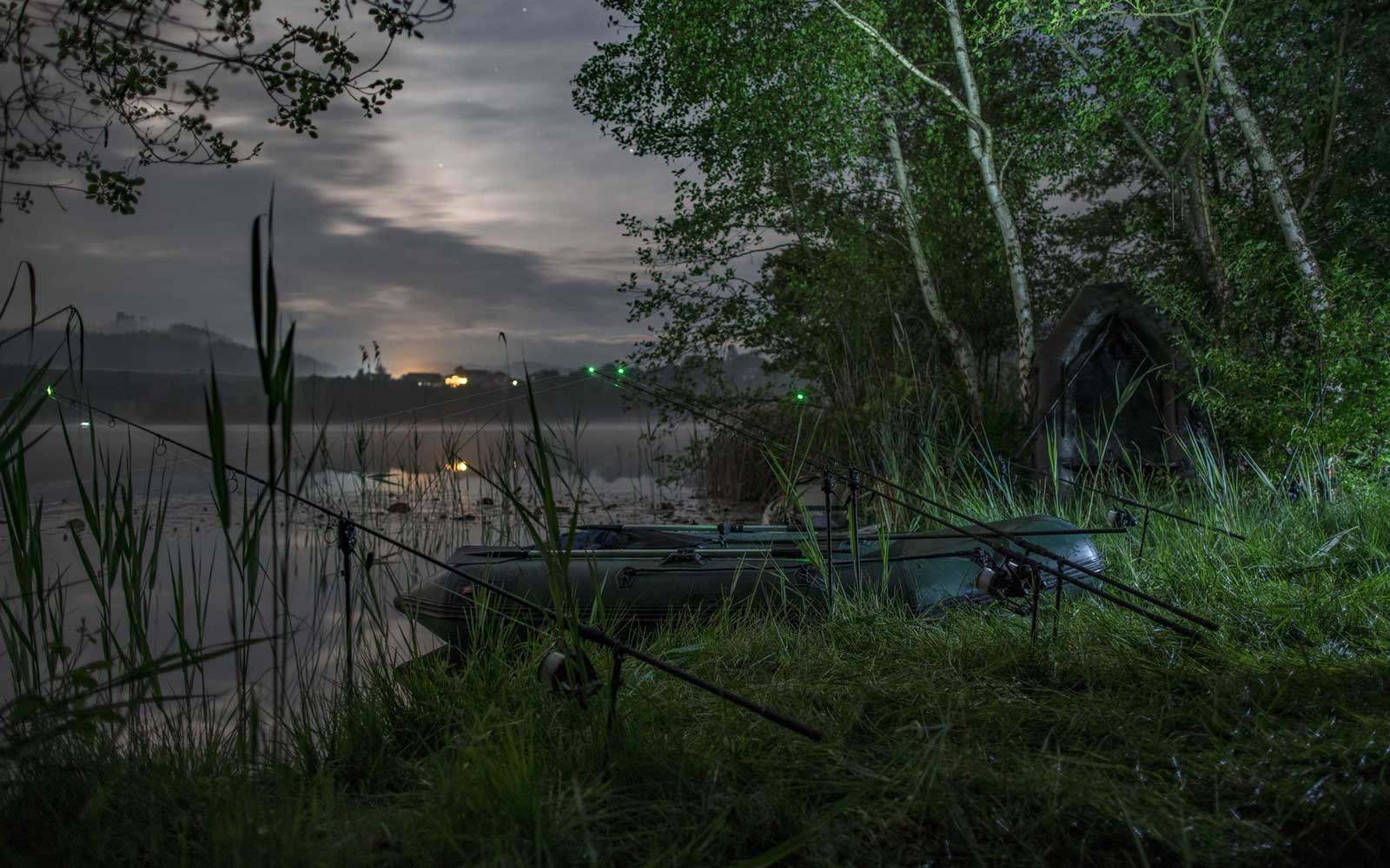 Karpfenangeln in Österreich am See bei Sonnenaufgang mit stimmungsvoller Natur