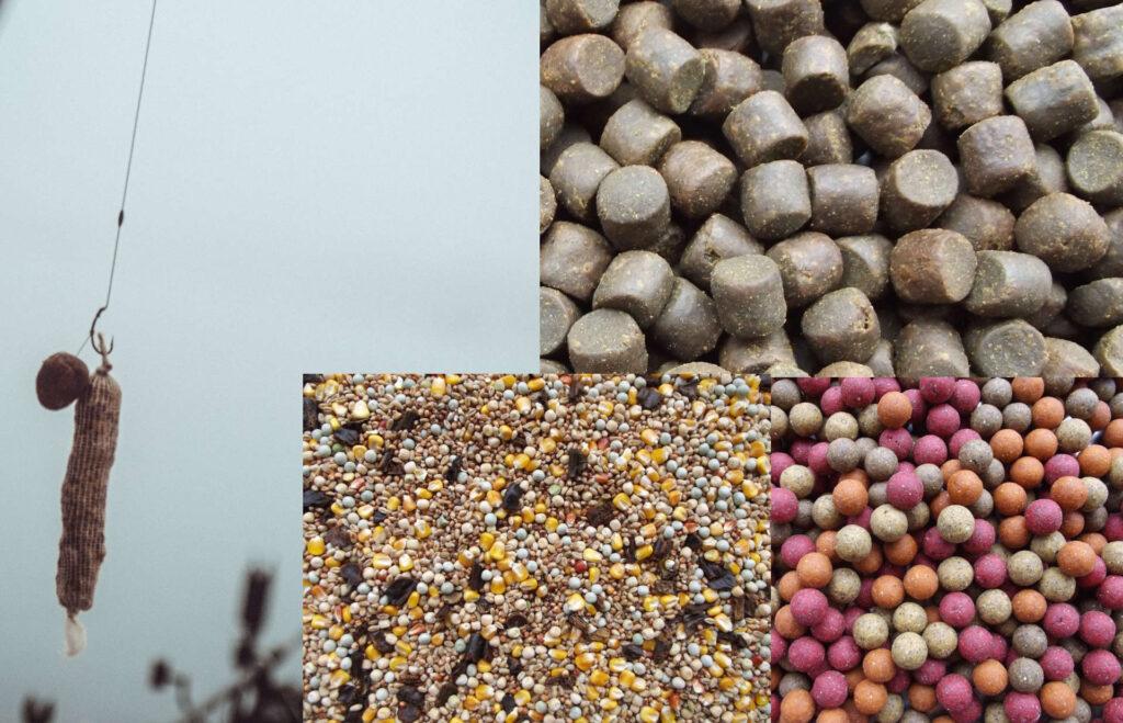 Bild zeigt verschiedene Karpfenköder wie Boilies-Carp Pellets-Futterboilies-Hook Baits an.