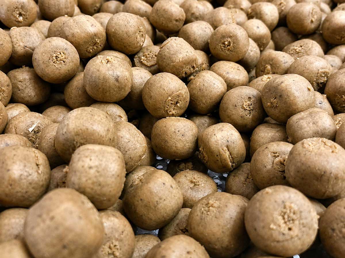 Frisch gerollte Boilies beim Baitservice – individuelle Rezeptur für Karpfen