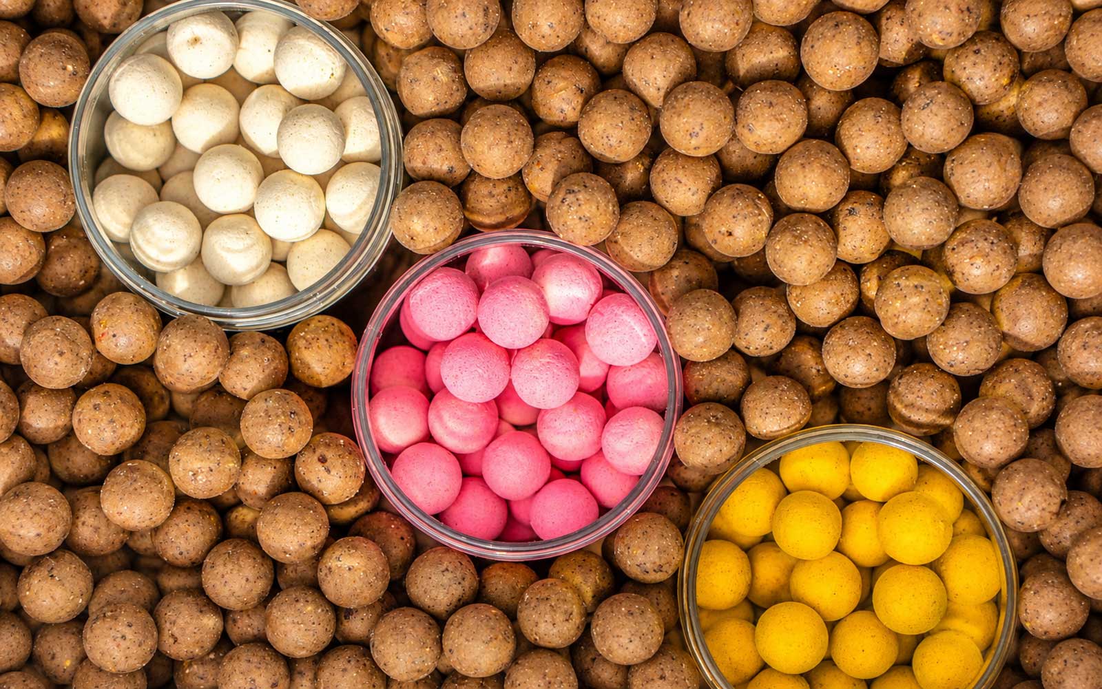 Boilie Sorten und Farben im Vergleich mit Pop-Ups, Wafter, Futterboilies und Hookbaits für Karpfenangler