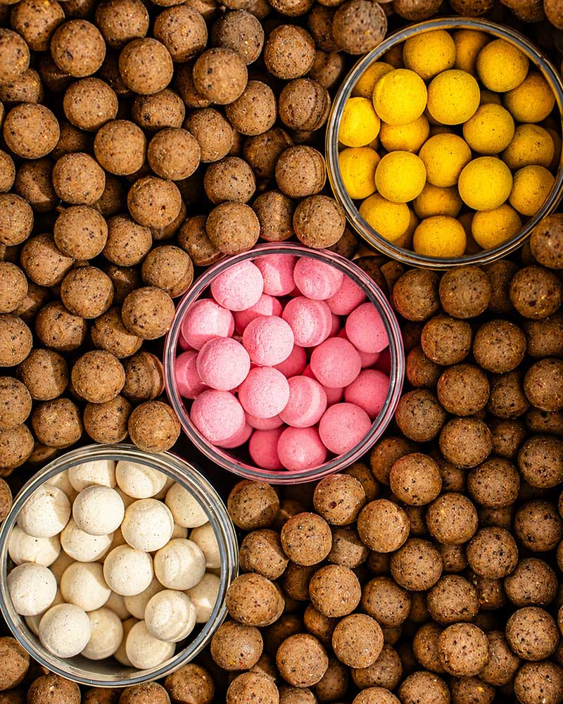 Verschiedene Boilie Sorten und Farben mit Pop-Up, Wafter und Futterboilies für Karpfenangeln