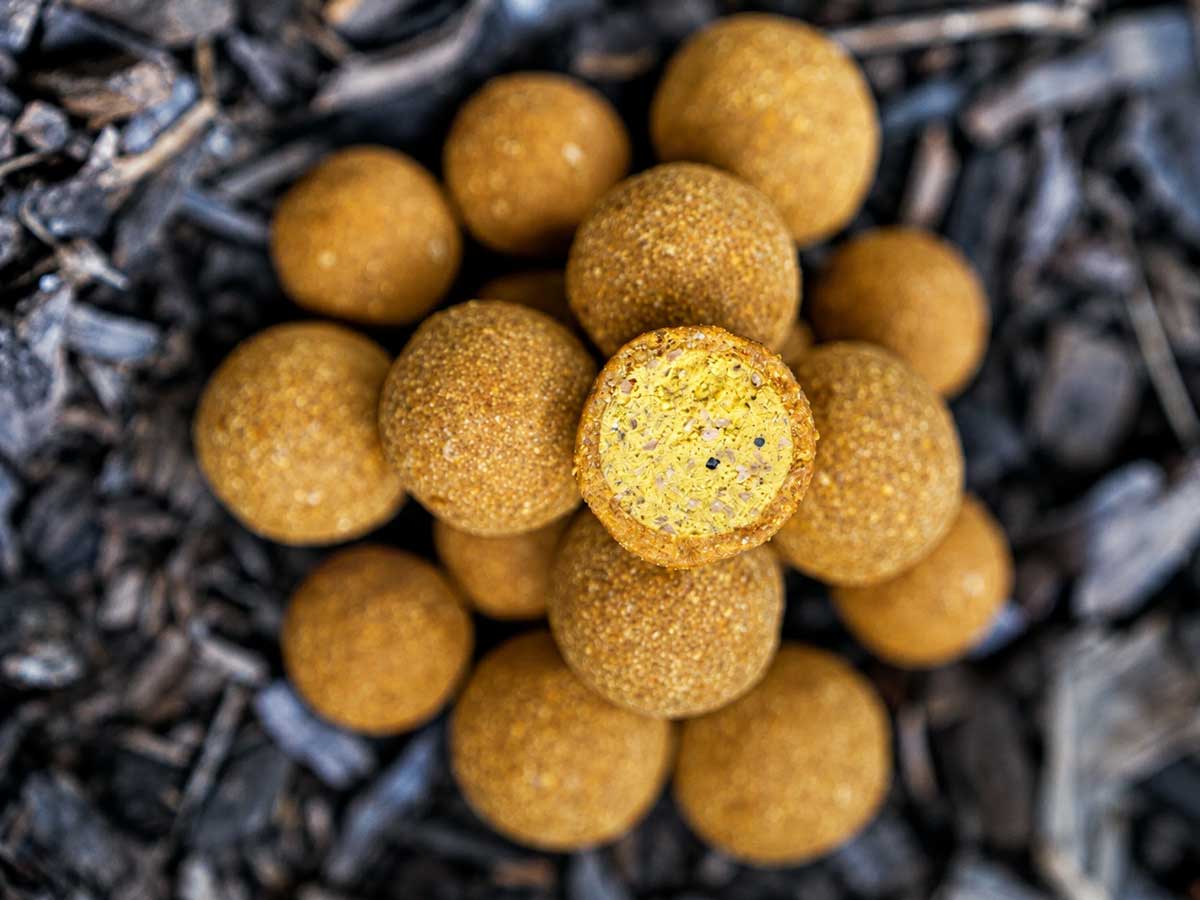 Coated Hookbaits als ummantelte Hakenköder für Karpfenangler mit intensiver Lockwirkung