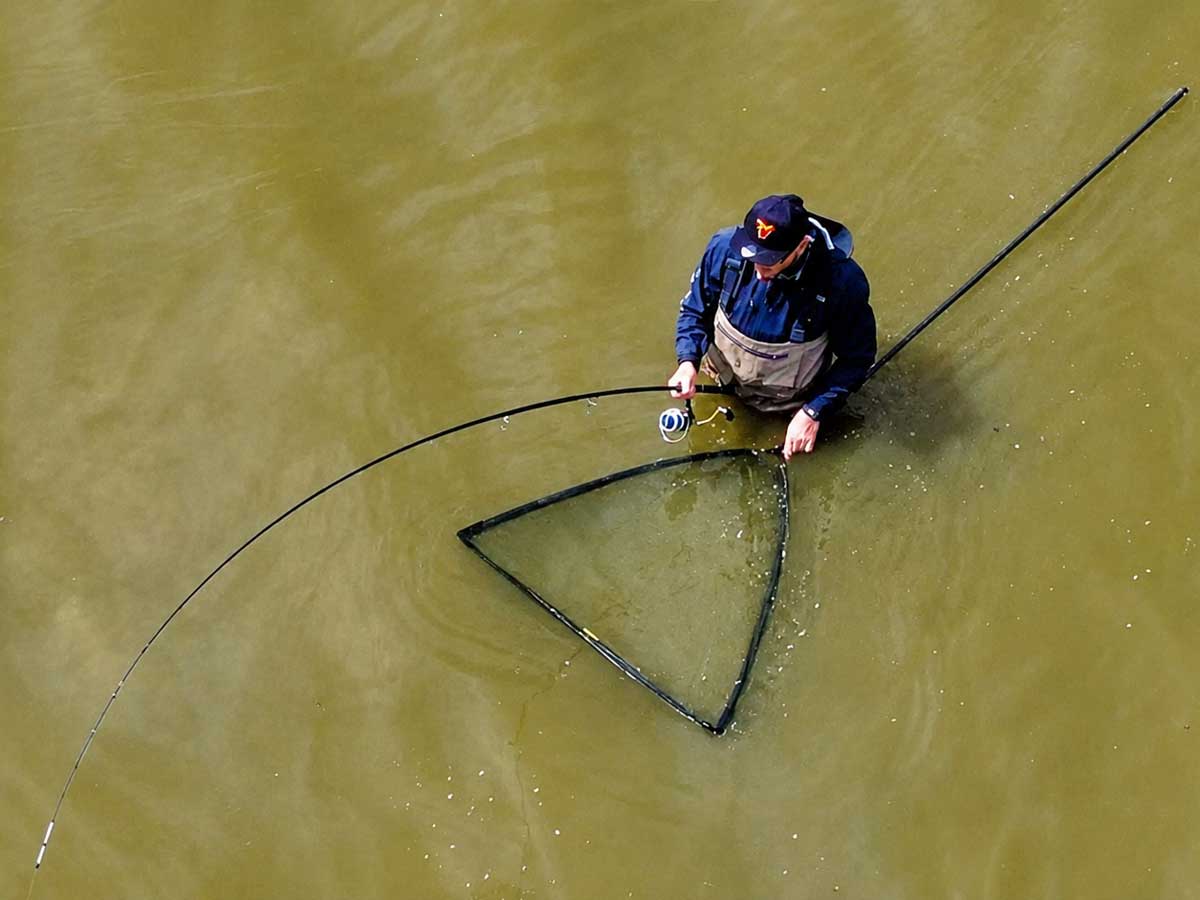 Fencl Floating Karpfenkescher für Karpfenangler, die oft alleine angeln und den Fisch sicher landen möchten