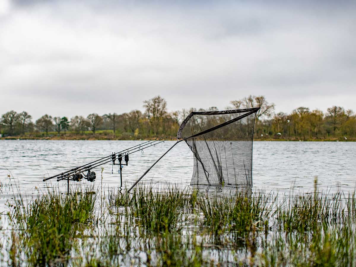 Karpfenkescher mit Spike-Cap am Seeboden zur sicheren Fischhaltung beim Karpfenangeln