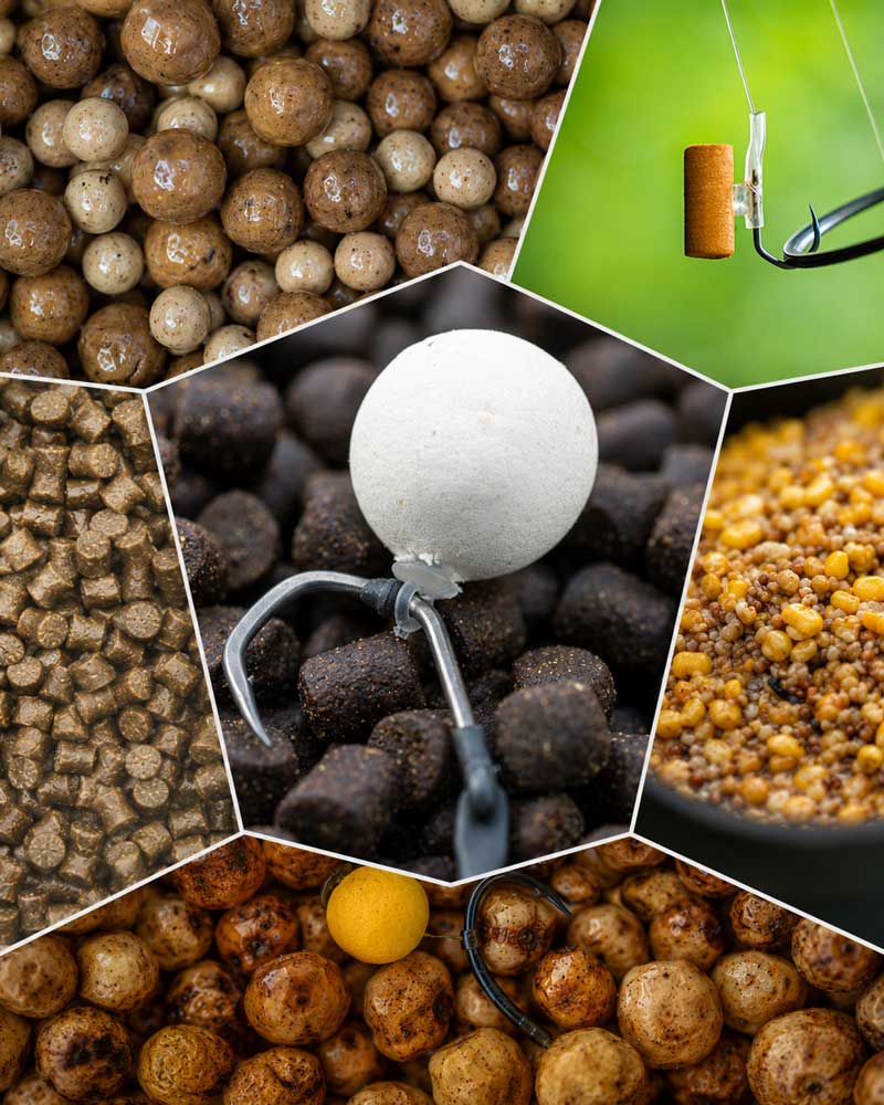 Karpfenköder Überblick mit Boilies, Pop-Up Boilies, Wafter, Partikel und Pellets für erfolgreiches Karpfenangeln