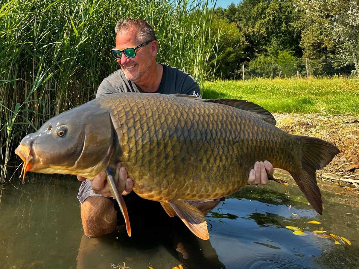 Frank Schmidt hält einen kapitalen Karpfen im flachen Wasser am Ufer