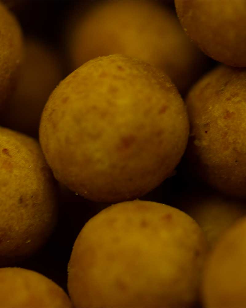 Futterboilie Sommer Strategie mit kohlenhydratreichen Boilies für aktive Karpfen beim Karpfenangeln