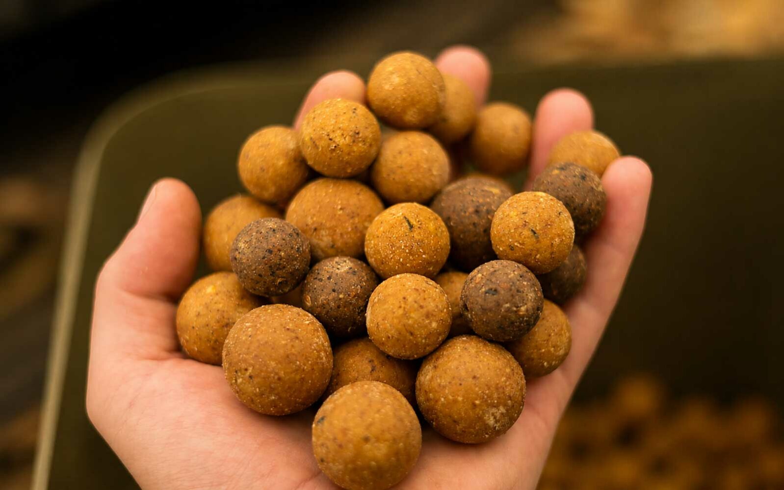Hochwertige Futterboilies für Karpfen mit LT-Fischmehl, Krillmehl, Proteinen und natürlichen Zutaten