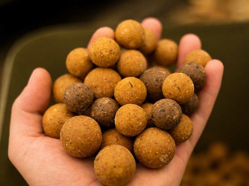 Hochwertige Futterboilies für Karpfen mit LT-Fischmehl, Krillmehl, Proteinen und natürlichen Zutaten