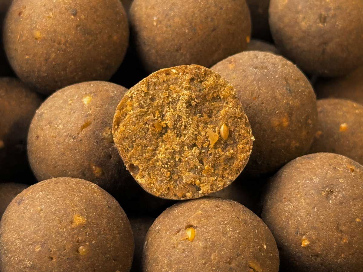 Hochwertige Futterboilie Inhaltsstoffe – LT-Fischmehl, Krillmehl, Betain