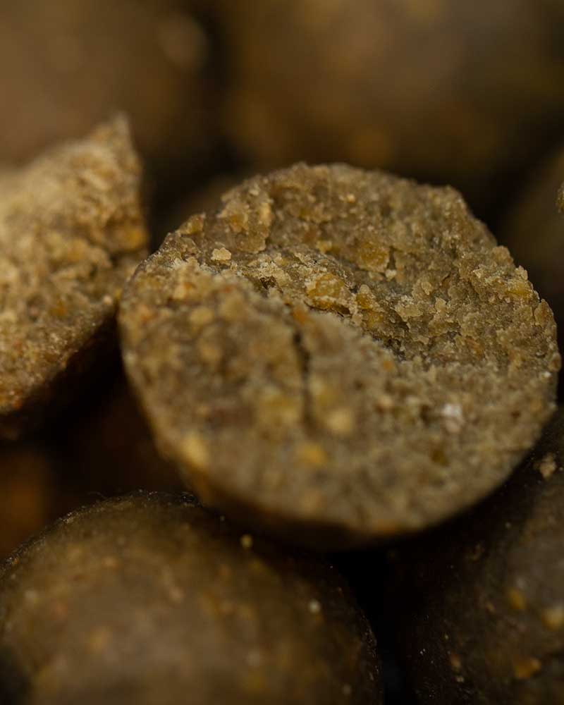 Futterboilies Jahreszeiten Strategie für Frühling, Herbst und Winter mit proteinreichen Boilies für Karpfen