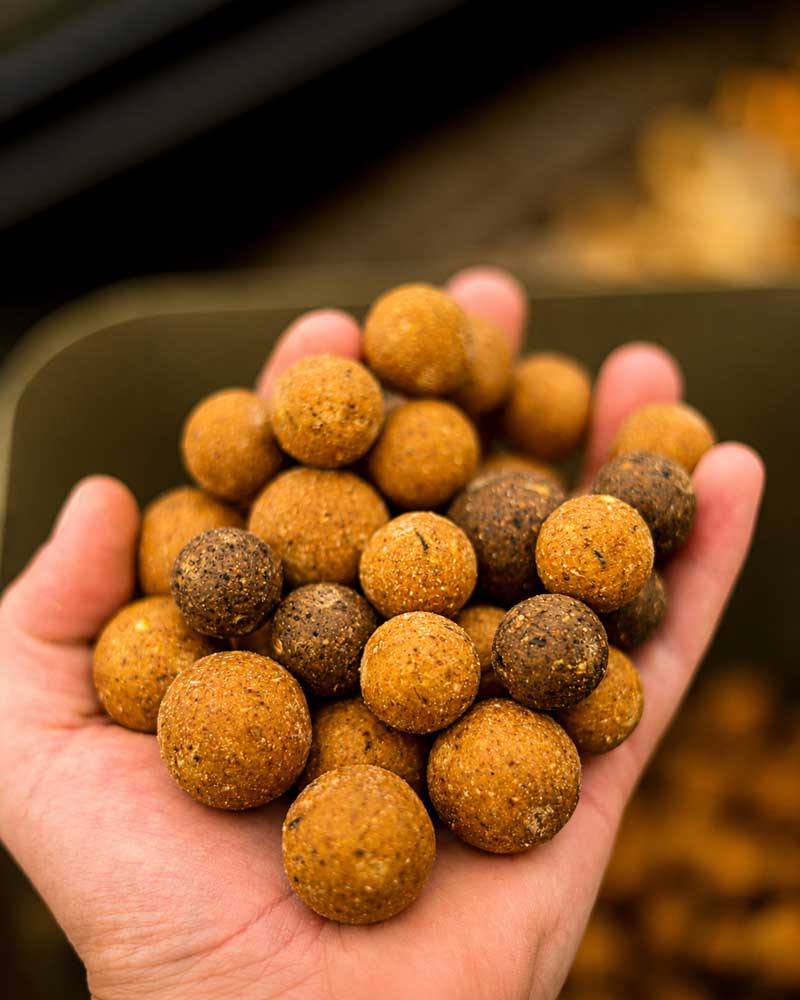 Futterboilies für Karpfen mit hochwertigen Zutaten aus LT-Fischmehl und Krillmehl