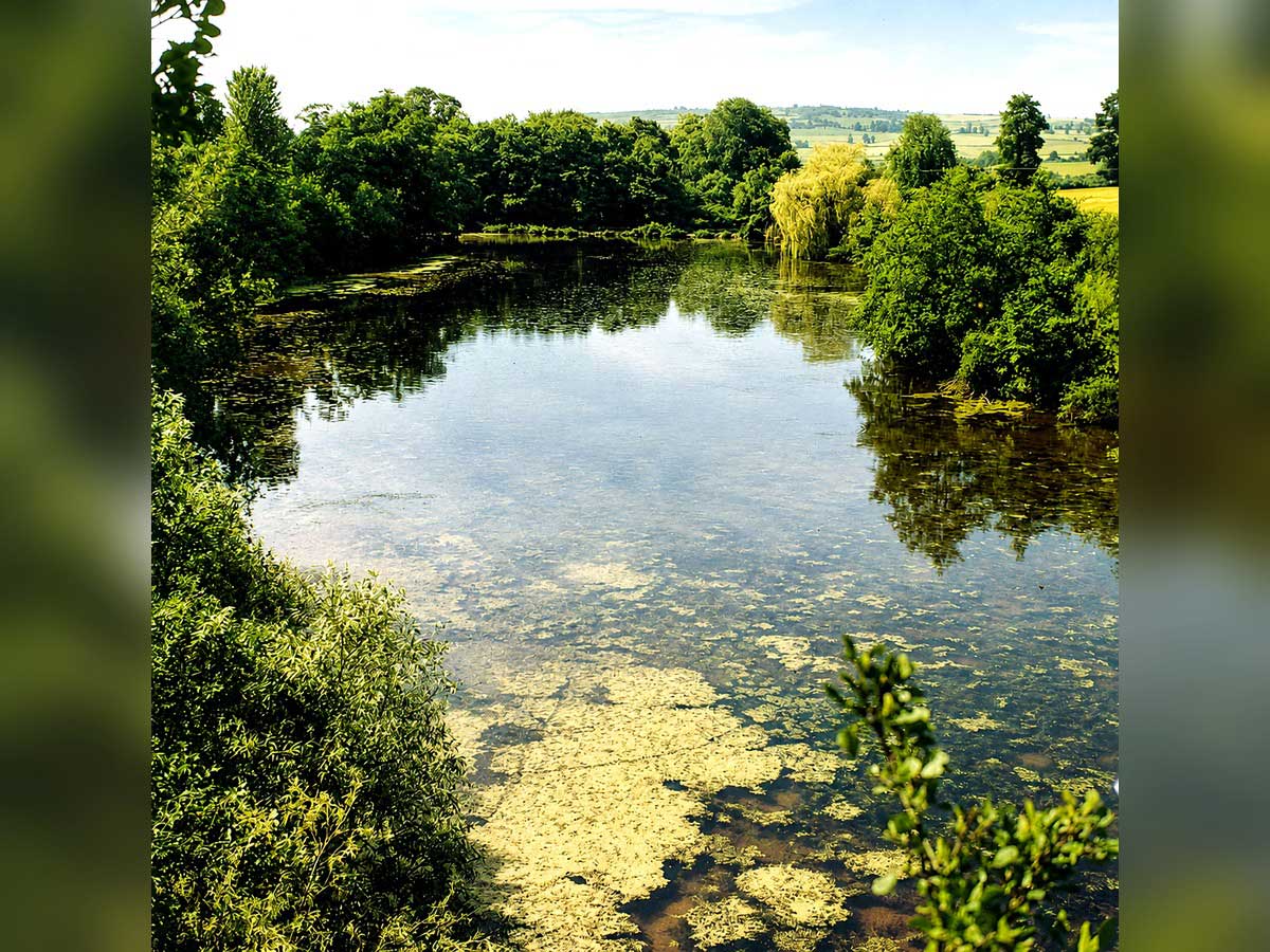 Redmire Pool u Engleskoj kao legendarna šaranska voda i važan izvor modernog šaranskog ribolova
