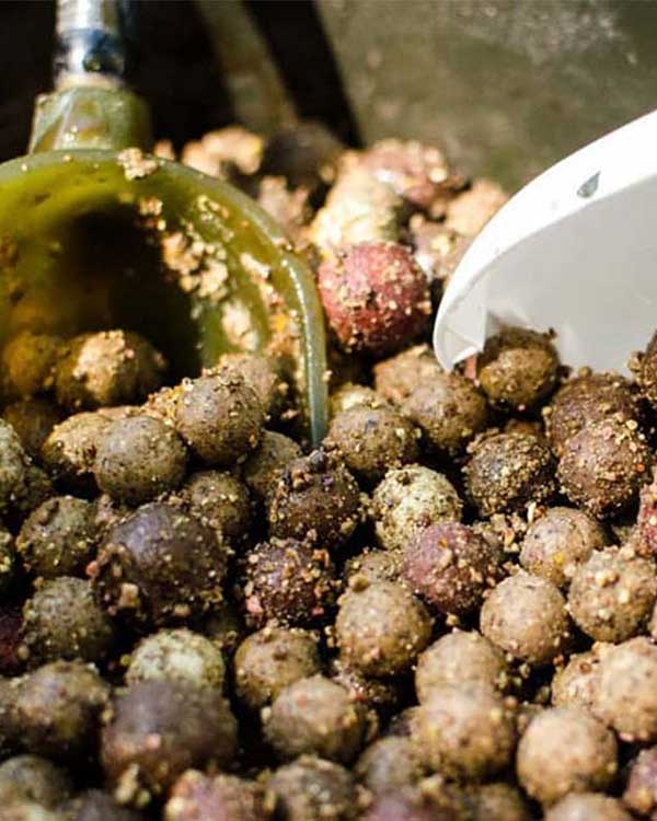 Carps Kitchen 5 boilies flavour carps kitchen pellets