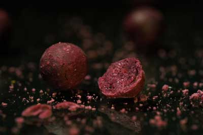 Black Label Baits 10 burning sun boilie black label baits