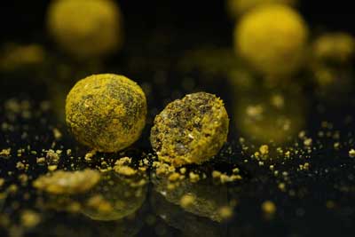 Black Label Baits 15 grilled kagoroo boilie black label baits