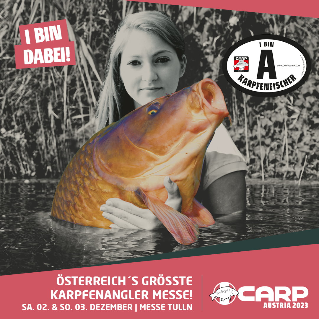 I BIN A KARPFENFISCHER - Dein Gratis Pickerl 3 i bin dabei 1