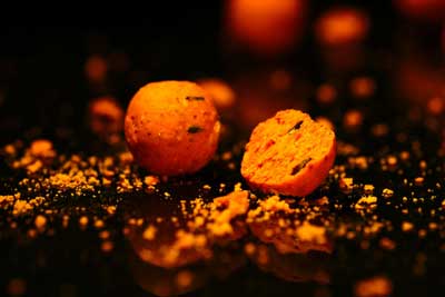 Black Label Baits 24 kingdom orange boilie blb