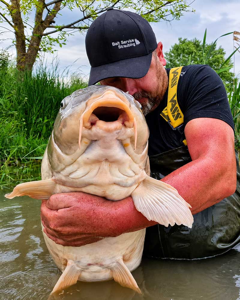 Beste Karpfenköder mit Boilies, Pop Ups und Partikeln für erfolgreiches Karpfenangeln