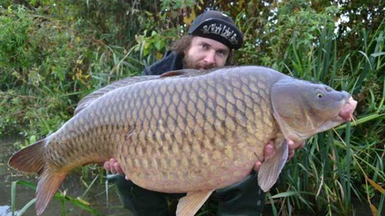 Black Label Baits 3 sebastian black label baits karpfen 30kg 1