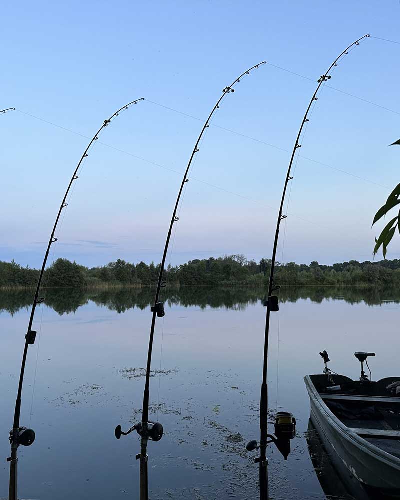 Black Cat Wels Tackle, Welsangeln Zubehör und Welsruten auf der Carp Austria Angelmesse