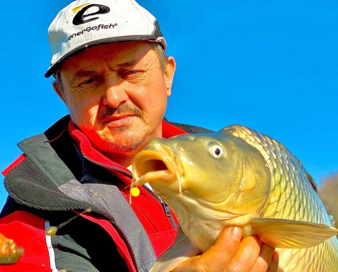 Benzar Mix, Zsolt Benzar Energofish