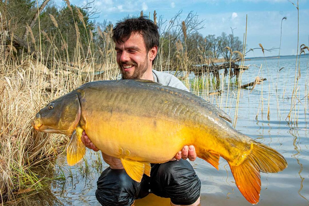 Angler mit Spiegelkarpfen gefangen auf FISHSTONE Steinmontage