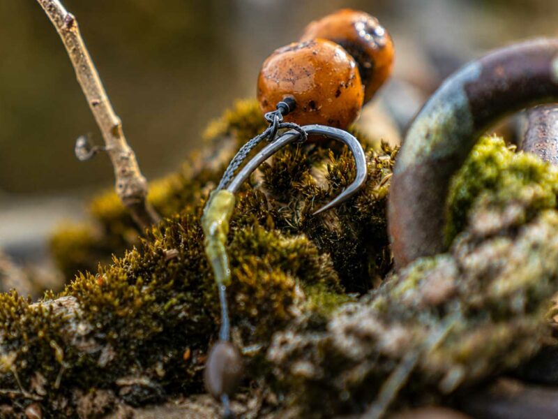 Karpfenangeln Montagen mit Hair Rig, Chod Rig und modernen Rig Systemen