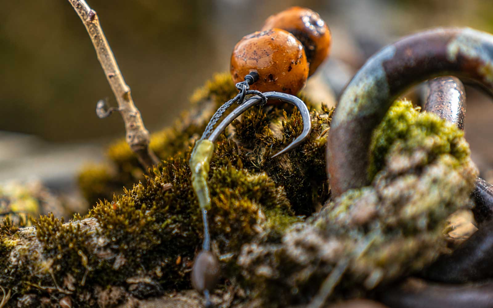 Karpfenangeln Montagen mit Hair Rig, Chod Rig und modernen Rig Systemen