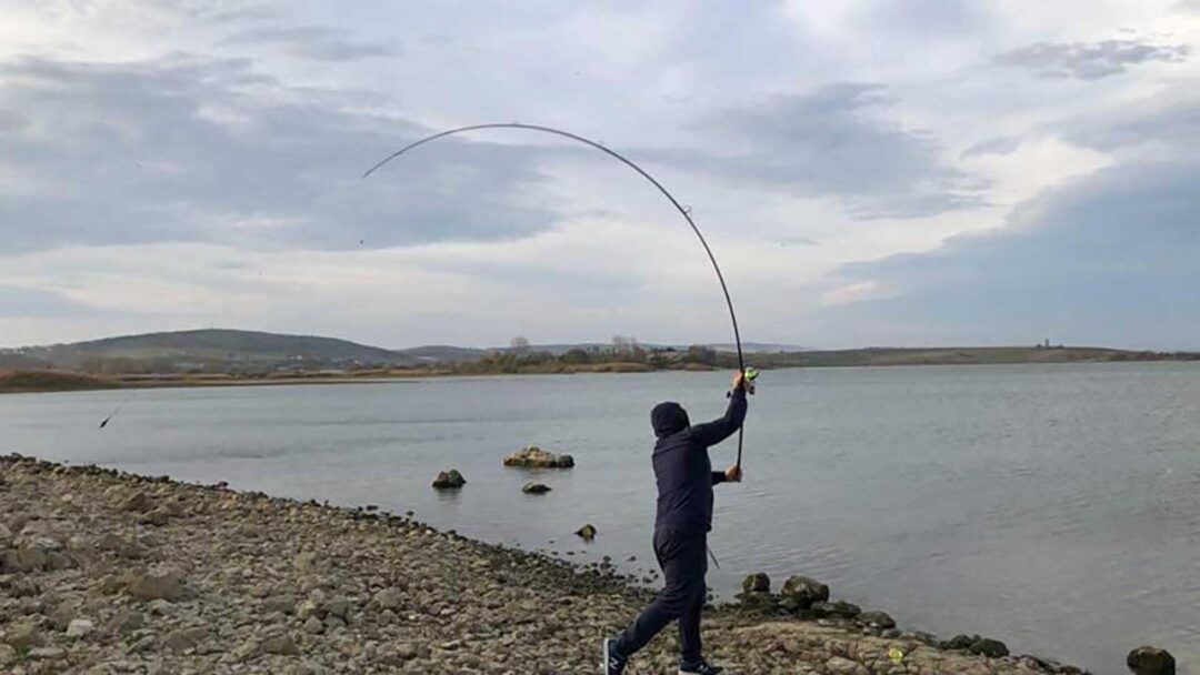 Orient Rods