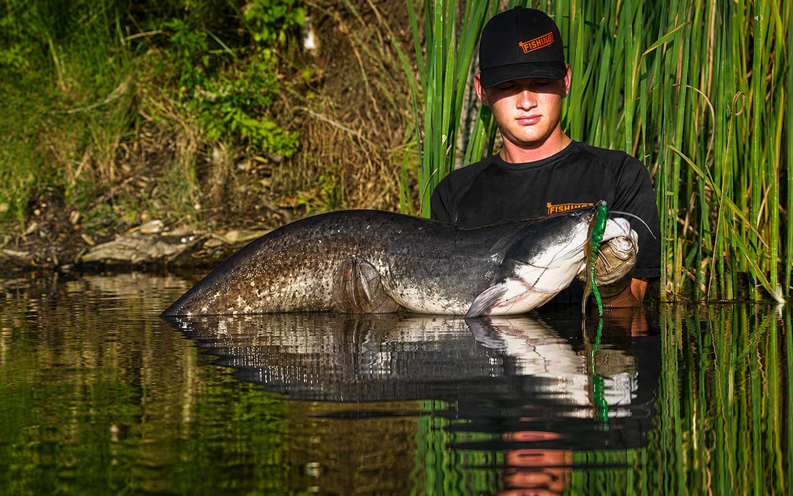 Fishingprofi Messestand mit Wobblern, Raubfisch Tackle und Zubehör für Hecht, Zander und Waller auf der Carp Austria Fischerei Messe