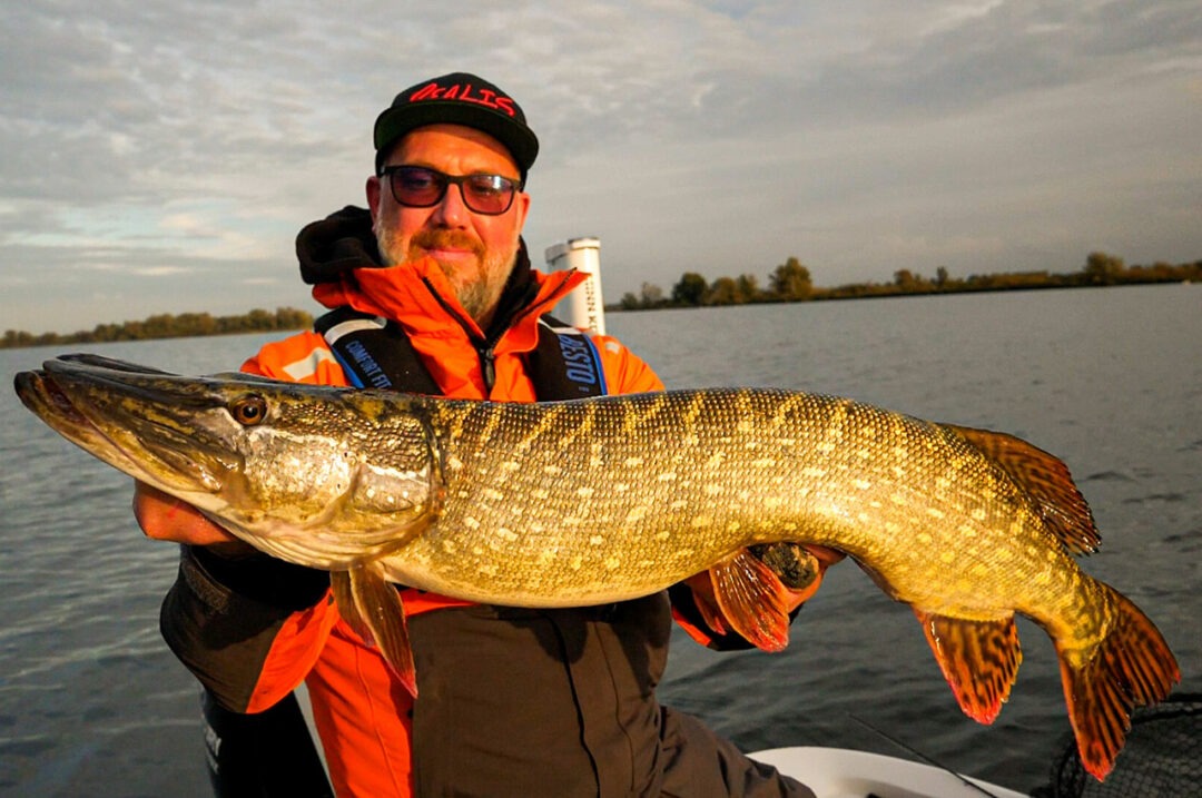 BigLureShop – Tackle & Raubfischköder für moderne Angler